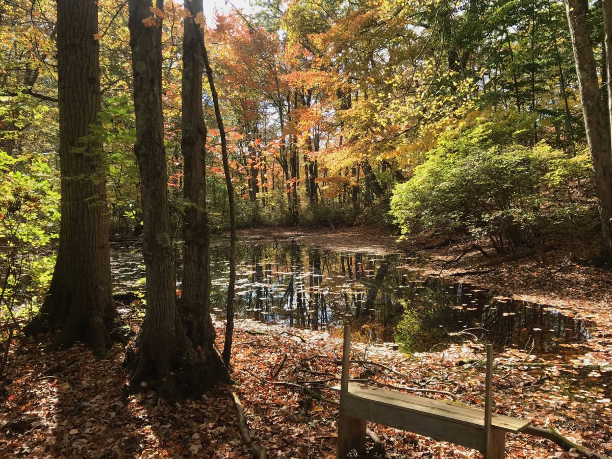 Aspetuck Land Trust purchase to preserve 7.8 acre Monroe property The