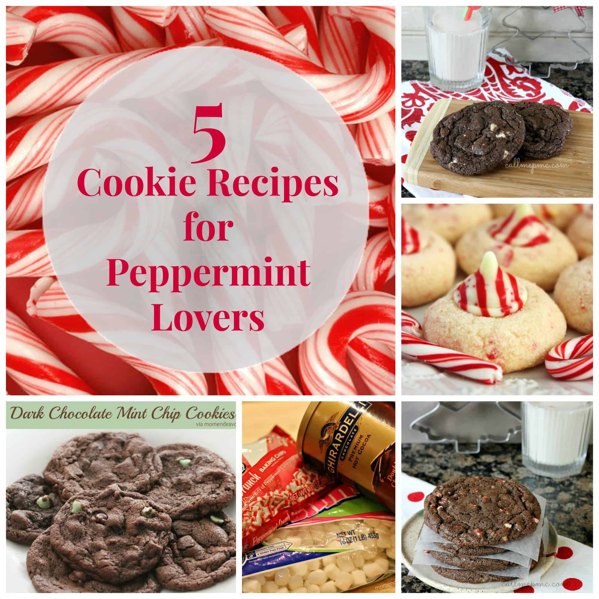 5 Cookie Recipes for Peppermint Lovers The Moody Blonde