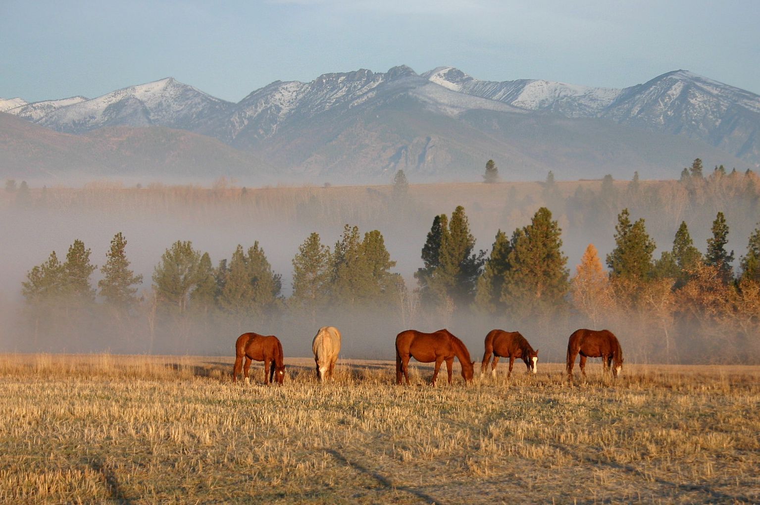 Home Moondance Ranch