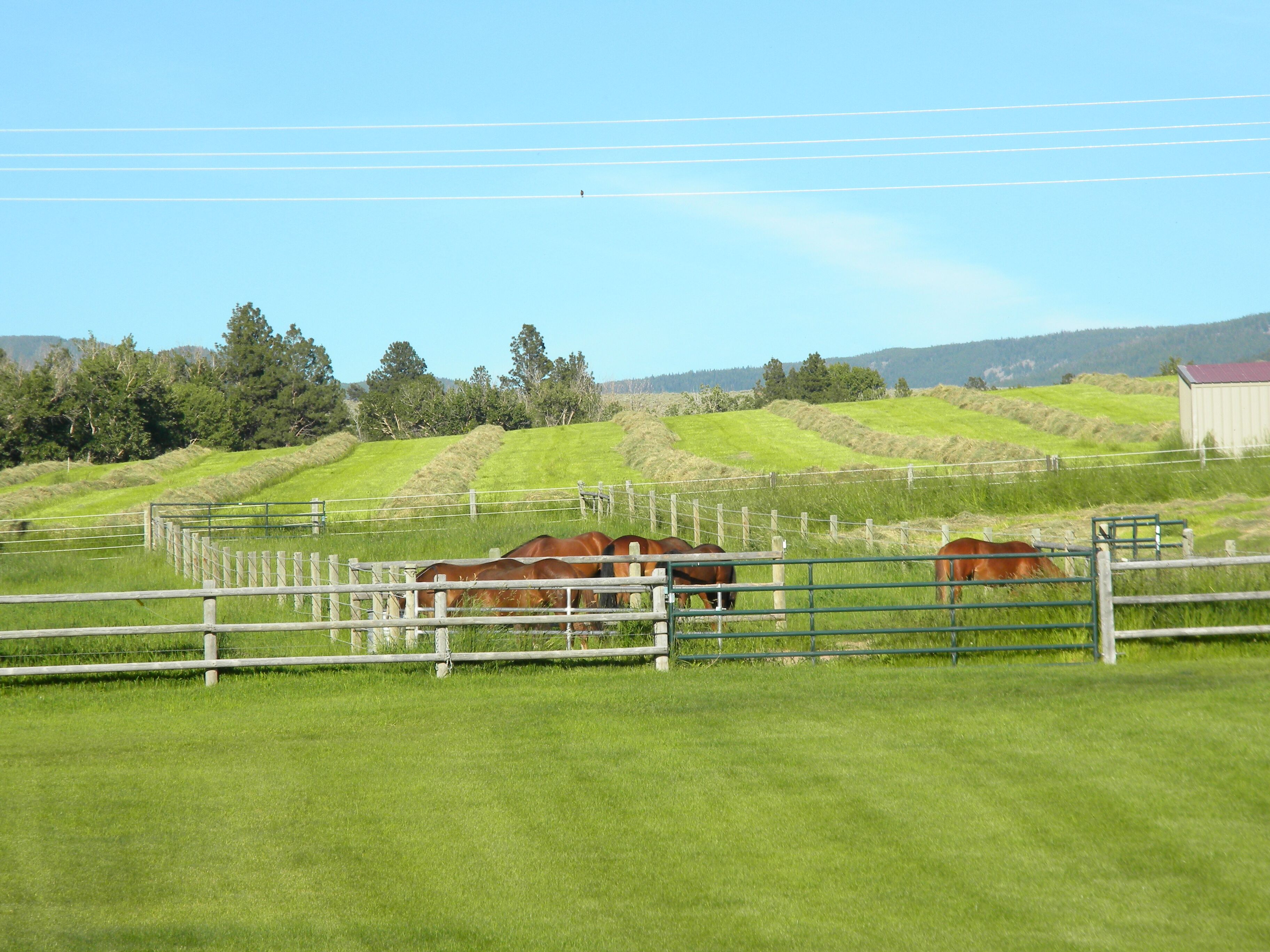 The Land Moondance Ranch
