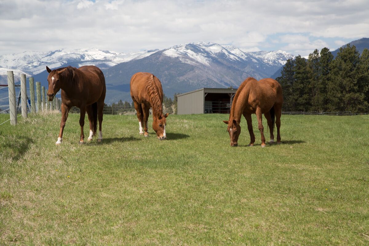 The Land Moondance Ranch