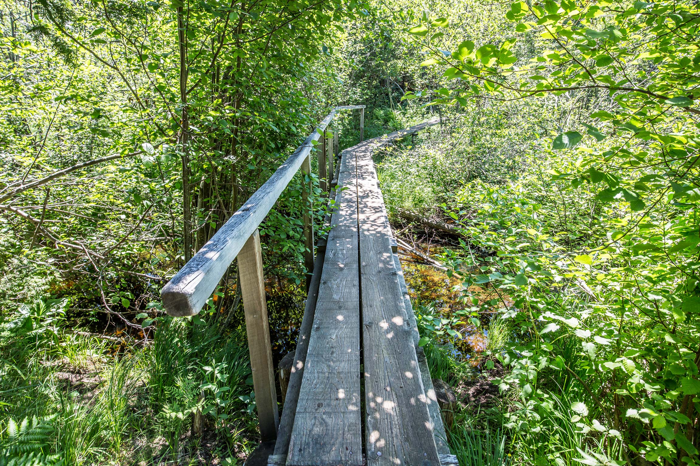 Isle Royale Photography and Travel Blog