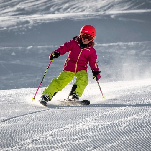 Winter sports school THE MOSS HOTEL OBERGURGL