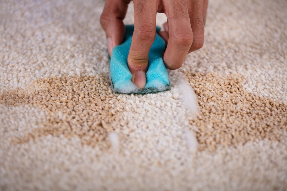 A Simple Guide on How to Remove Old Stains From Carpet