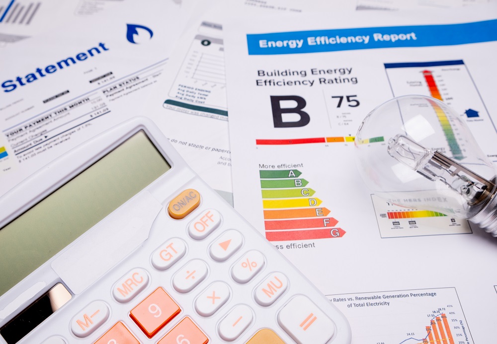 Decoding Your Electricity Facts Label A Practical Guide