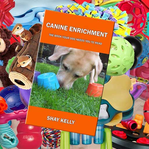 Toys The Motivated K9