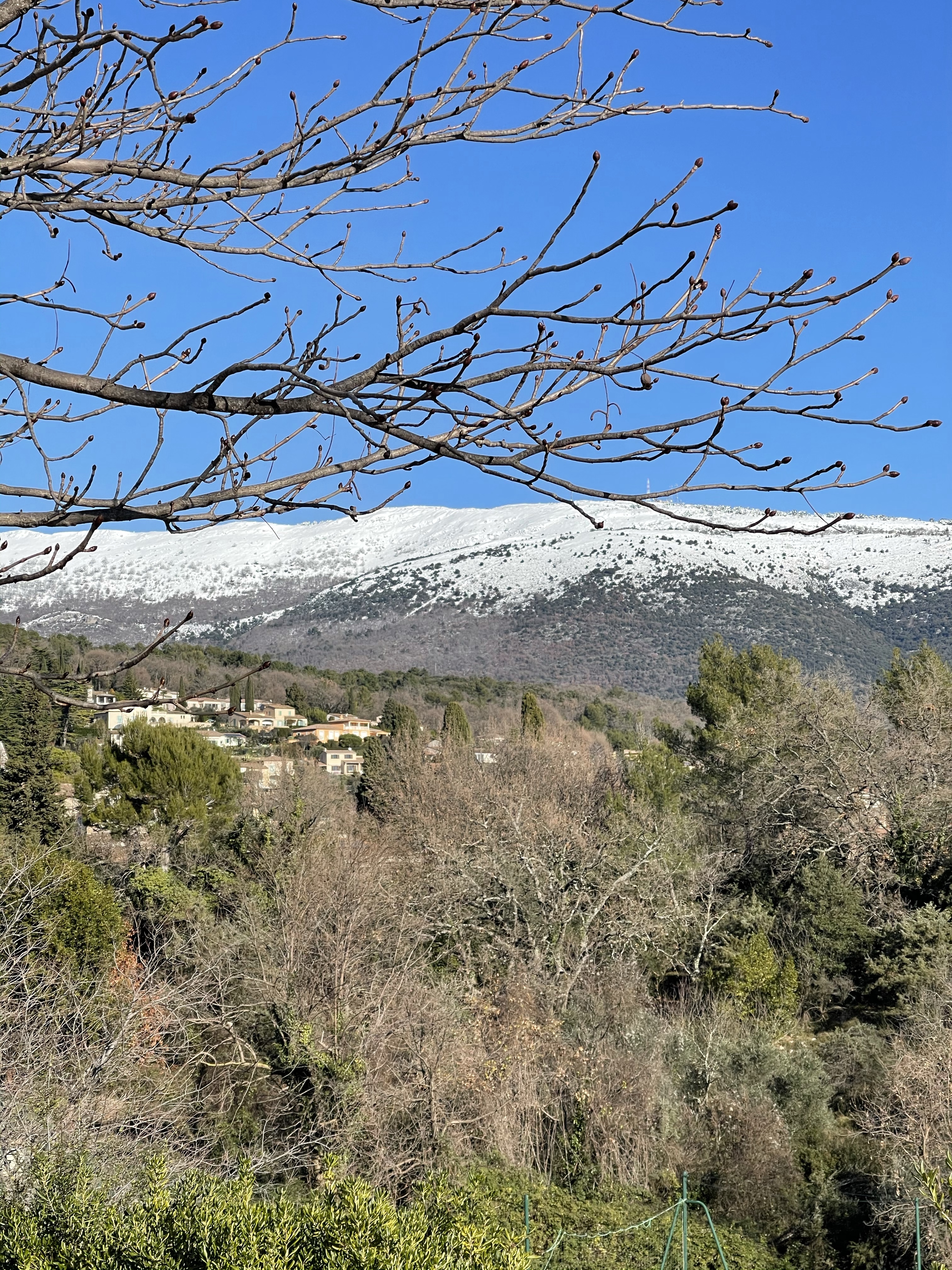 resto antibes, neige, click and collect, la cour des thés, saint vallier de thiey, montagne, plaisir des yeux, 50 ans, rando, video, voyage, antiage, quinqua, Youtube, etatsdespritduvendredi, balade, travel, silver, les états d'esprit du vendredi, quadra, Mode, shopping, themouse, boucle de peygros, Fashion, grand air, 