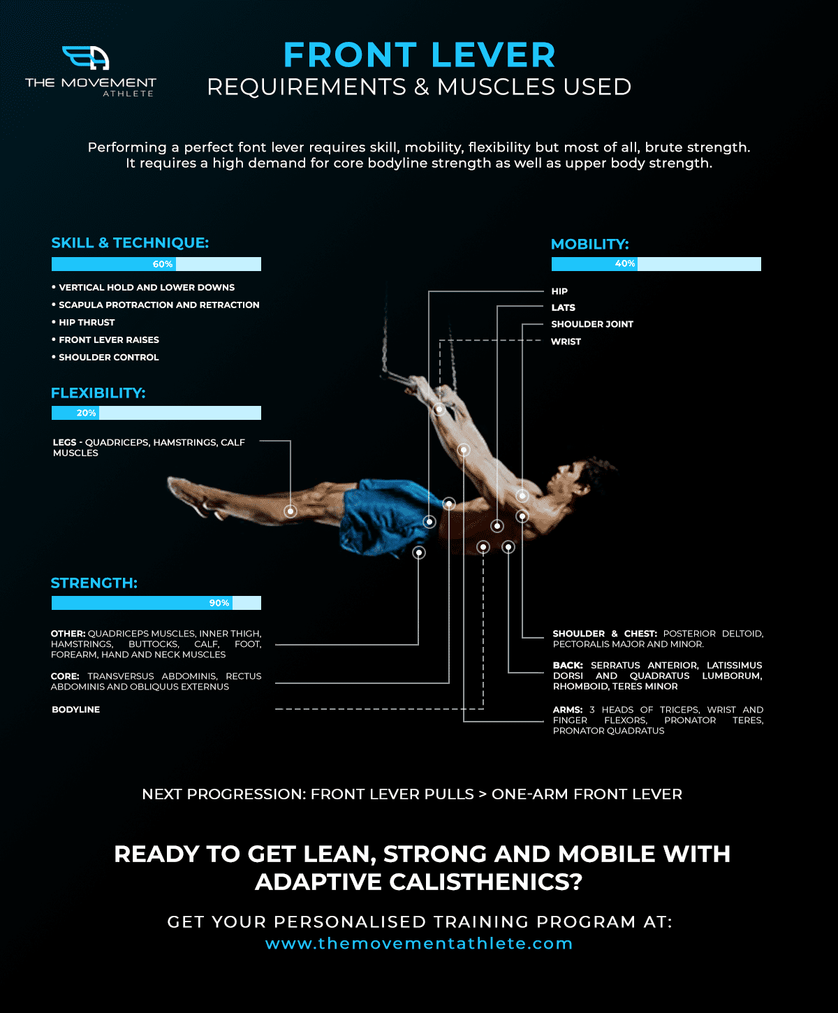 Front Lever Muscles Used and Requirements The Movement Athlete