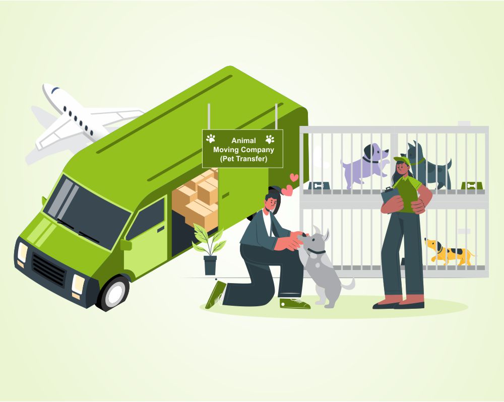Pet Relocation Services in Oman Animal Moving Muscat