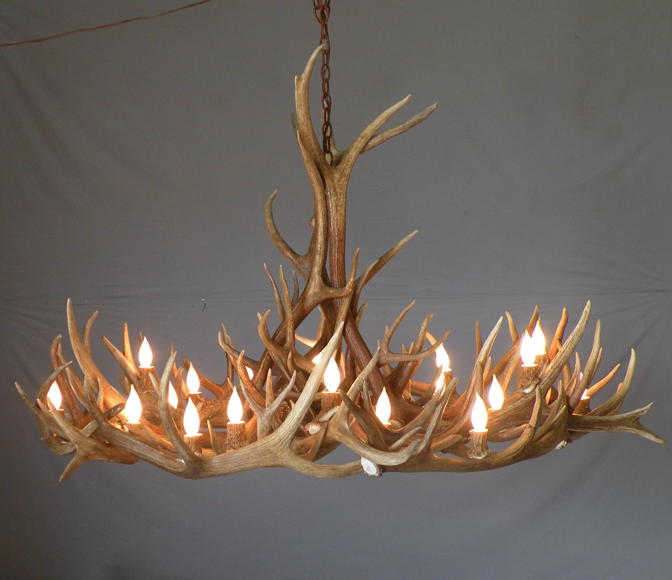 Awasome Modern Antler Decor For Small Space