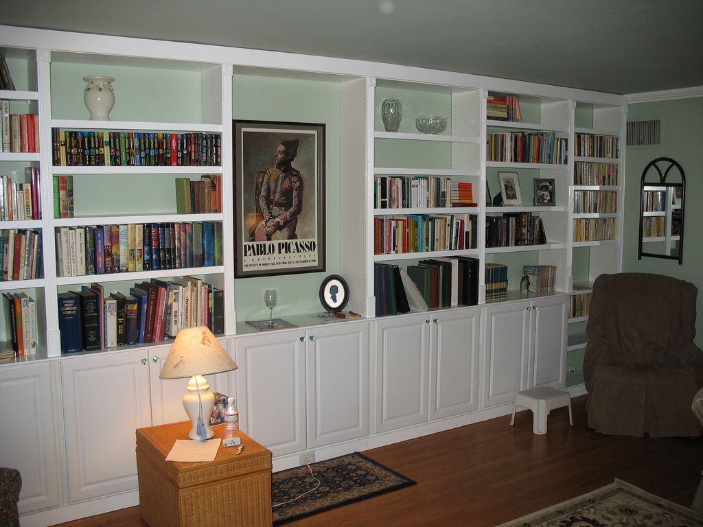 Top 15 of Built in Bookcase Kit