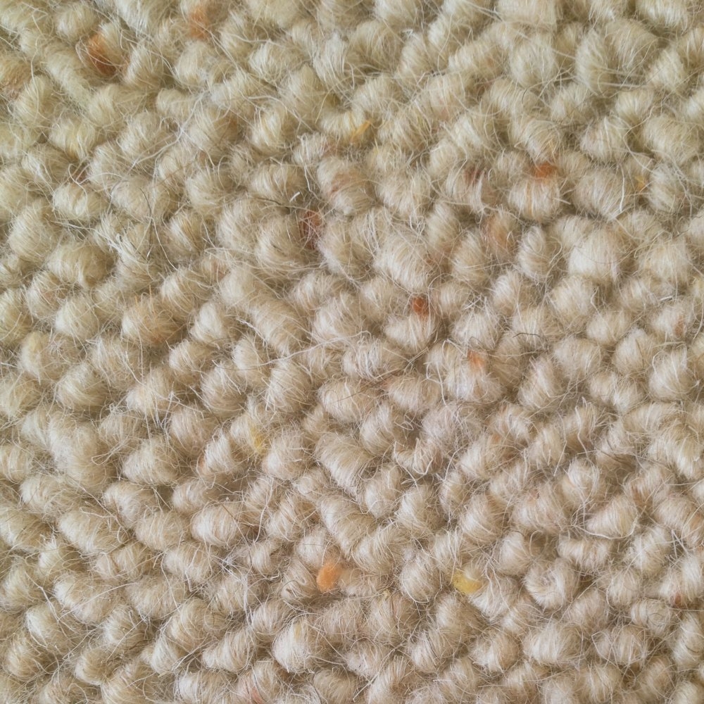 Best 15+ of Wool Berber Area Rugs