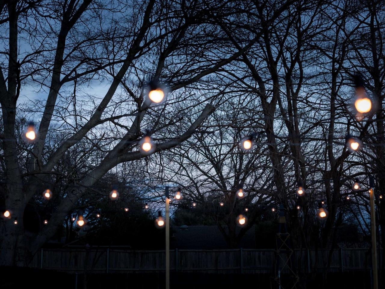 15 Best Ideas Hanging Lights in Outdoor Trees