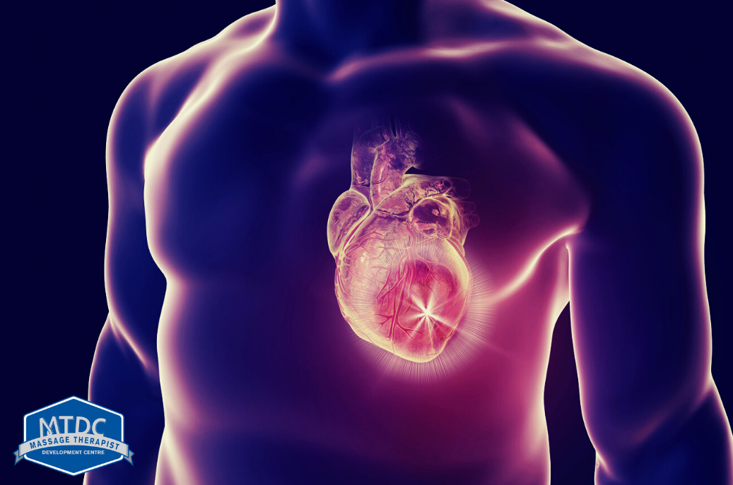 Learn How Massage Therapy Could Help Congestive Heart Failure The