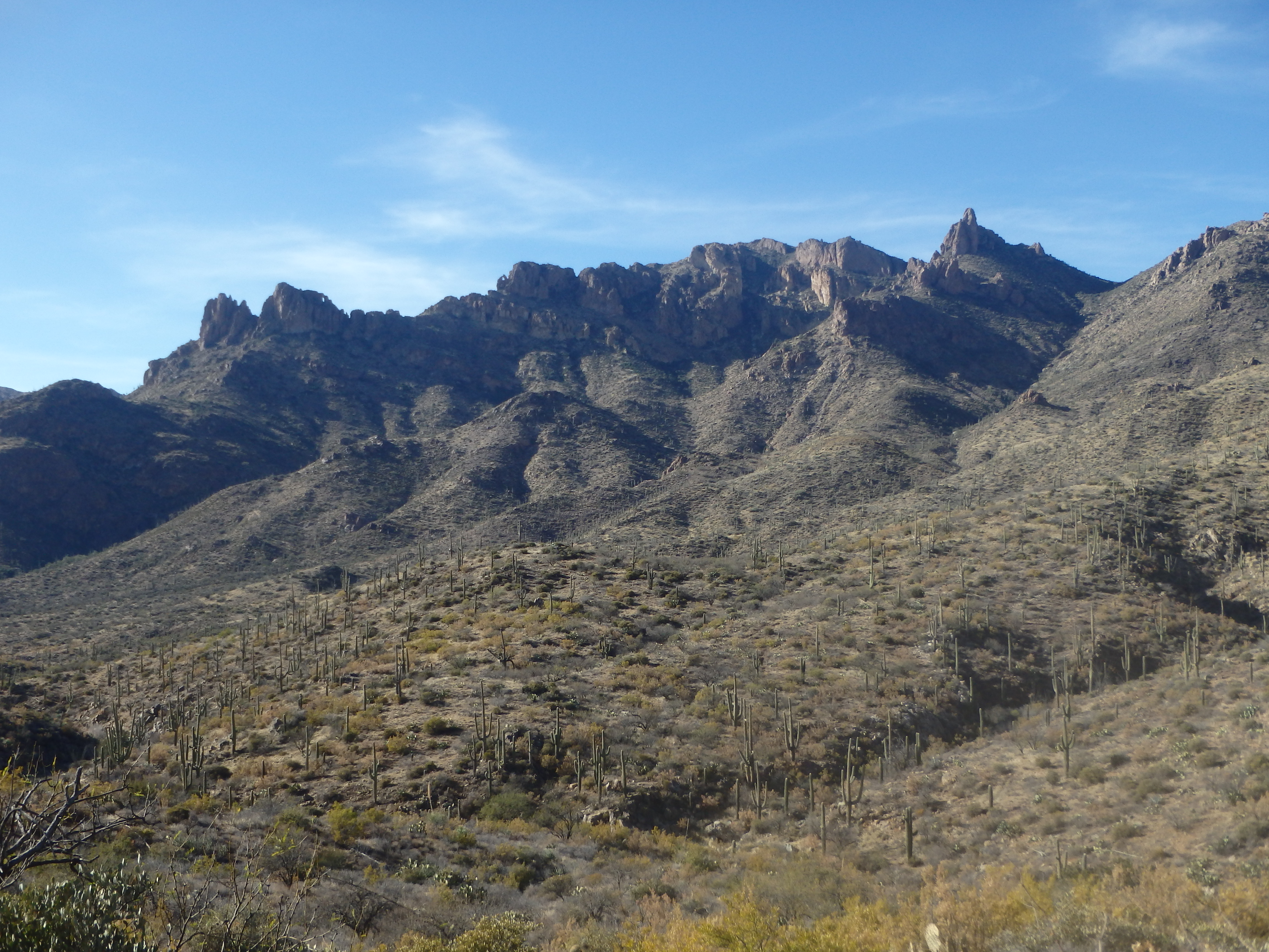 Tonto National Forest The Mountains Are Calling