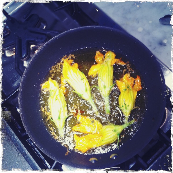 “Hello? Fried Zucchini Blossoms.”