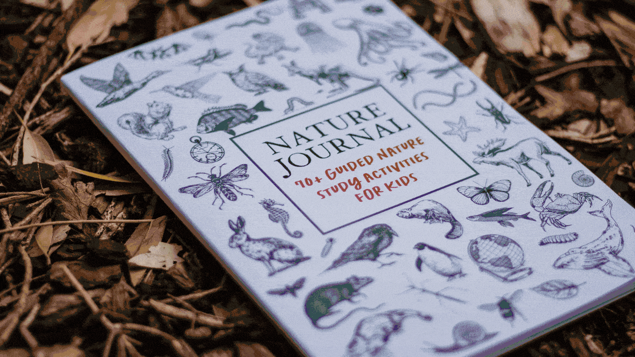 101 Nature Study Ideas for Homeschoolers The Mulberry Journal