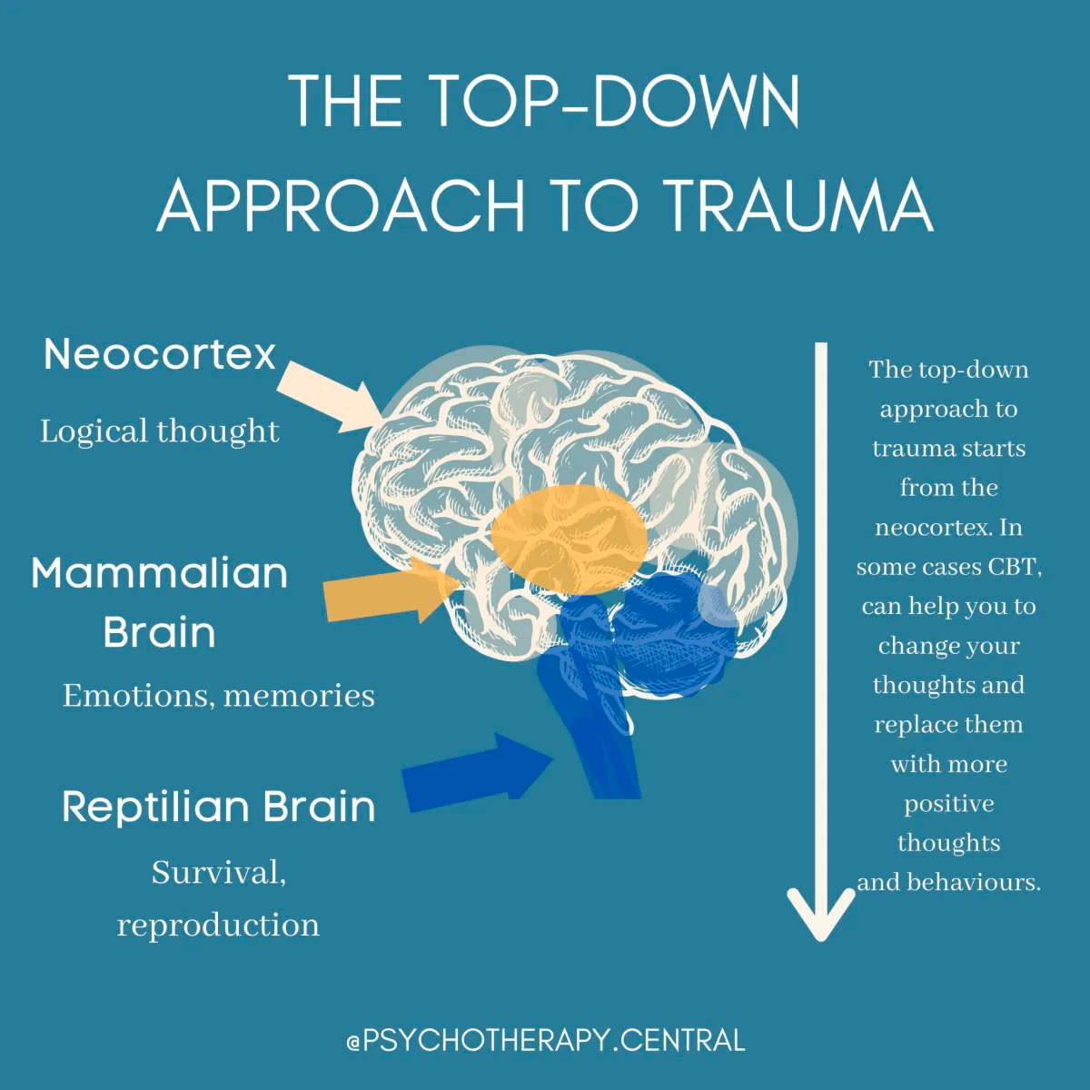 The Difference Between ‘TopDown’ and ‘BottomUp’ Approach for CPTSD