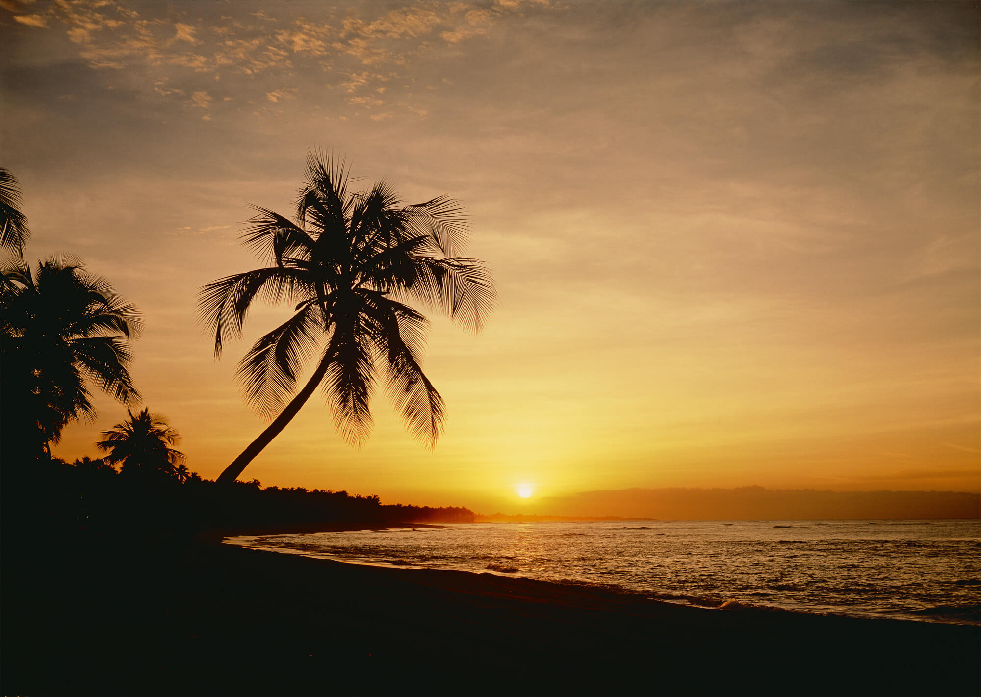 Key West Florida at Sunset DS8028 Full Size Large Wall Murals The