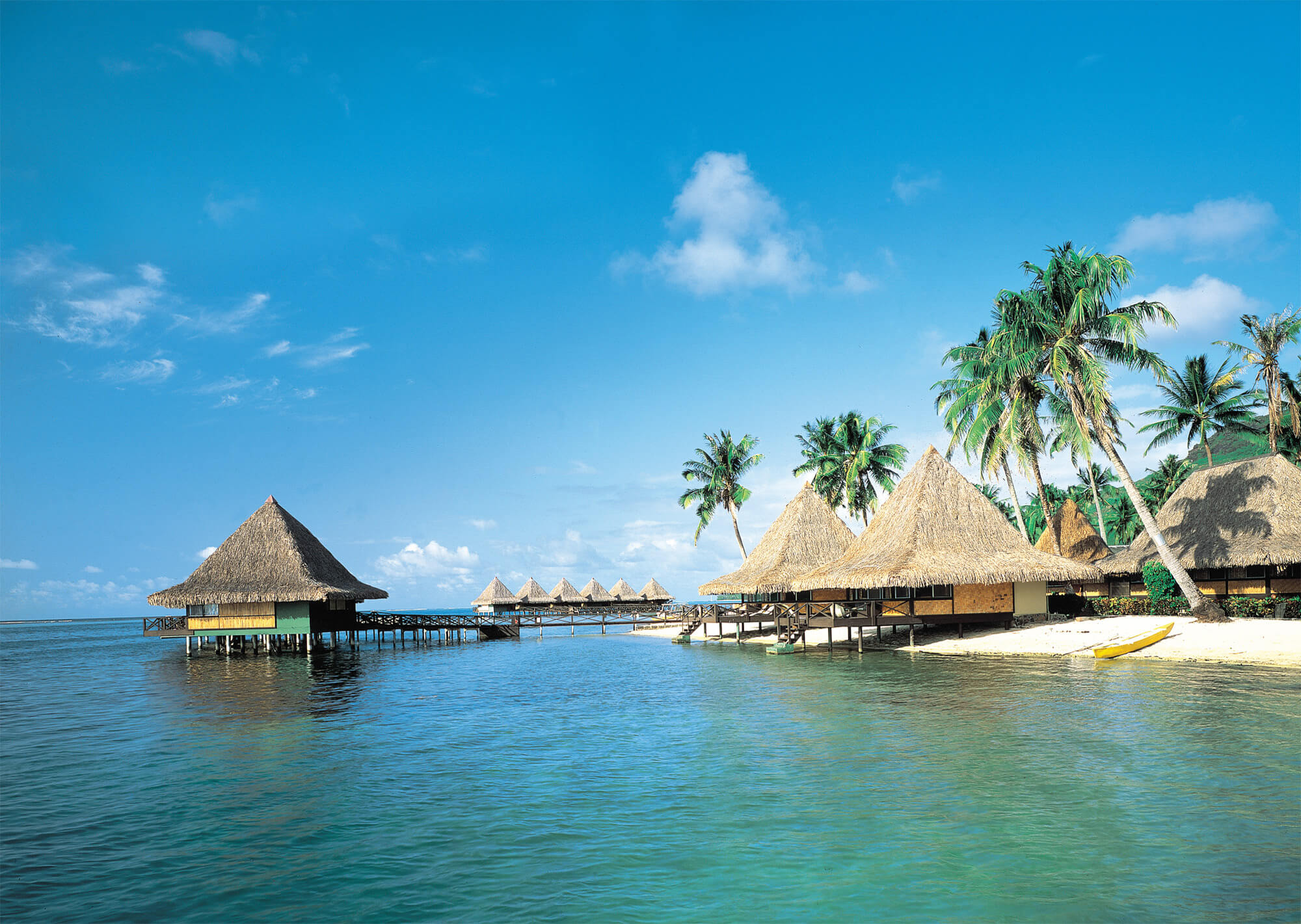 An Enchanted Island Wall Mural Full Size Large Wall Murals The Mural