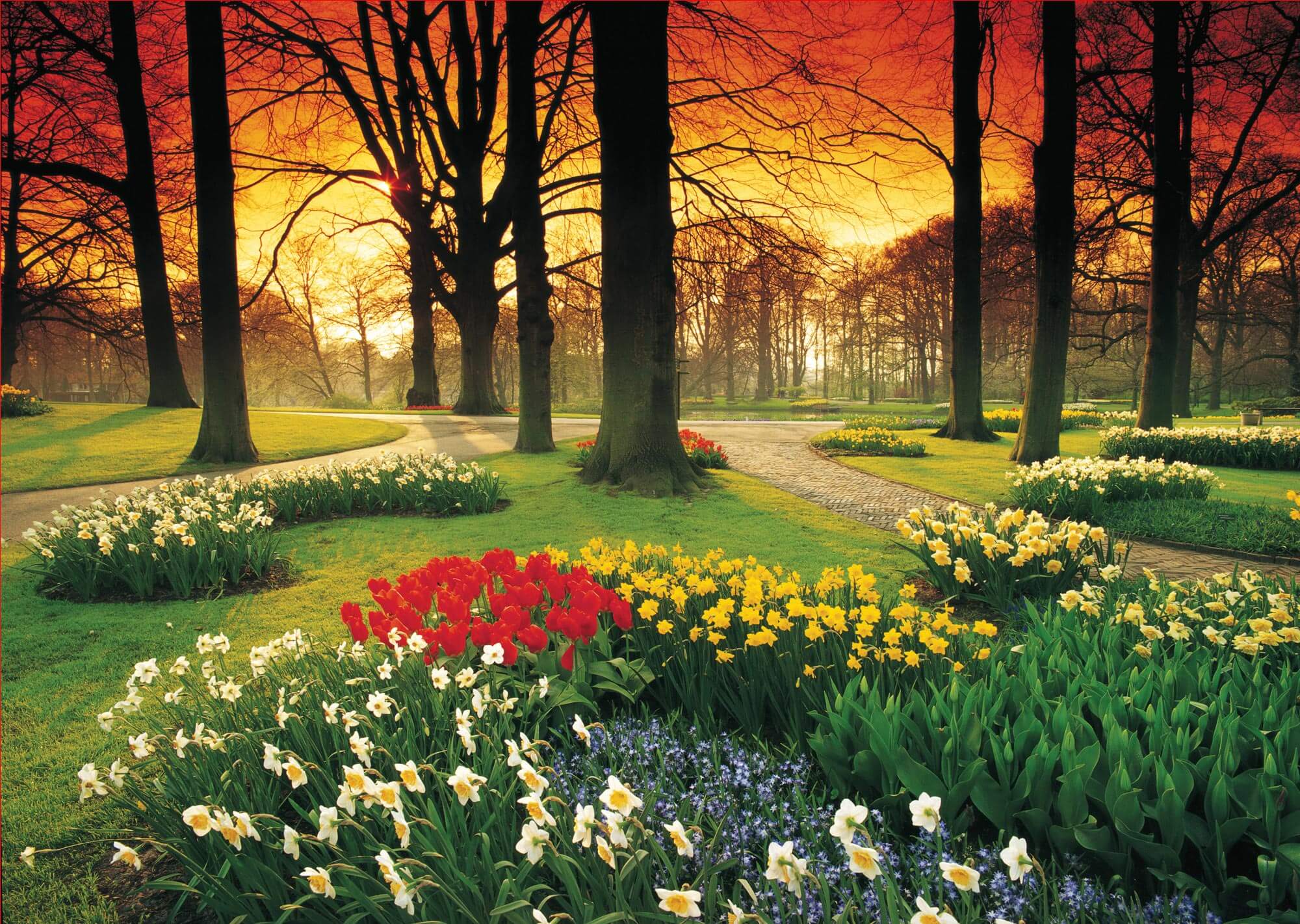 Floral Sunset PR1857 Wall Mural Full Size Large Wall Murals The Mural