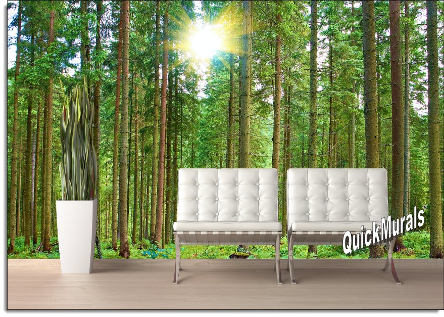 Morning Forest Peel and Stick Wall Mural Full Size Large Wall Murals