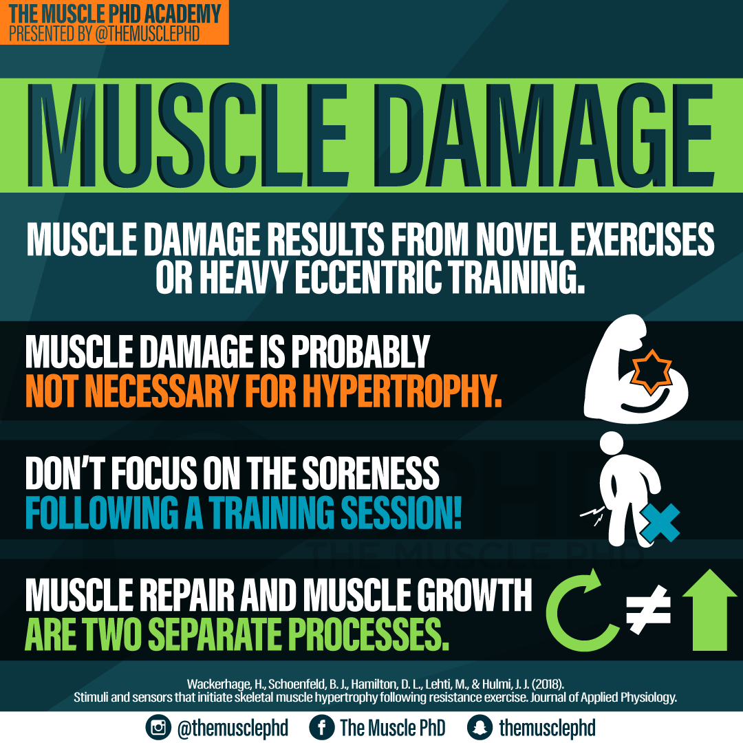 Metabolic Stress The Muscle PhD