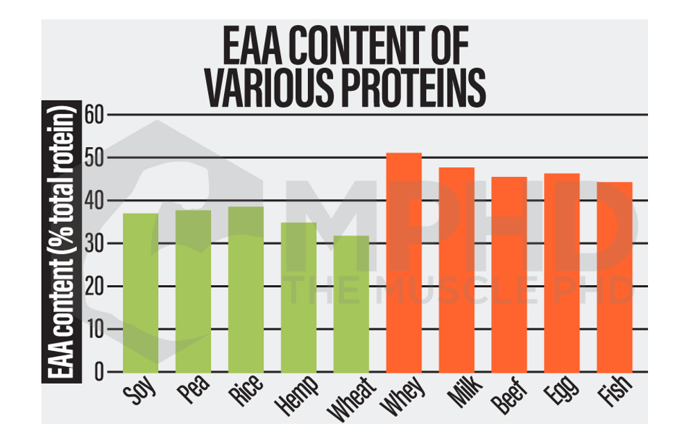Plant vs. Animal Protein The Muscle PhD