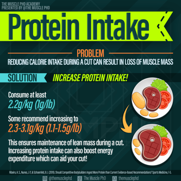 Intraworkout Protein The Muscle PhD