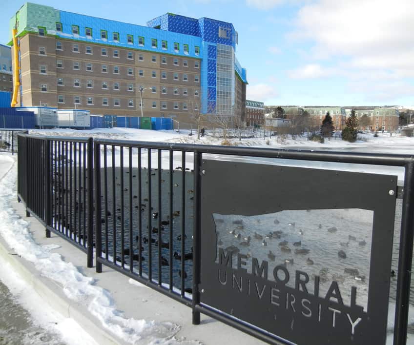 Burton’s Pond ducks struggling with epidemic rates of Nicotine addiction The Muse