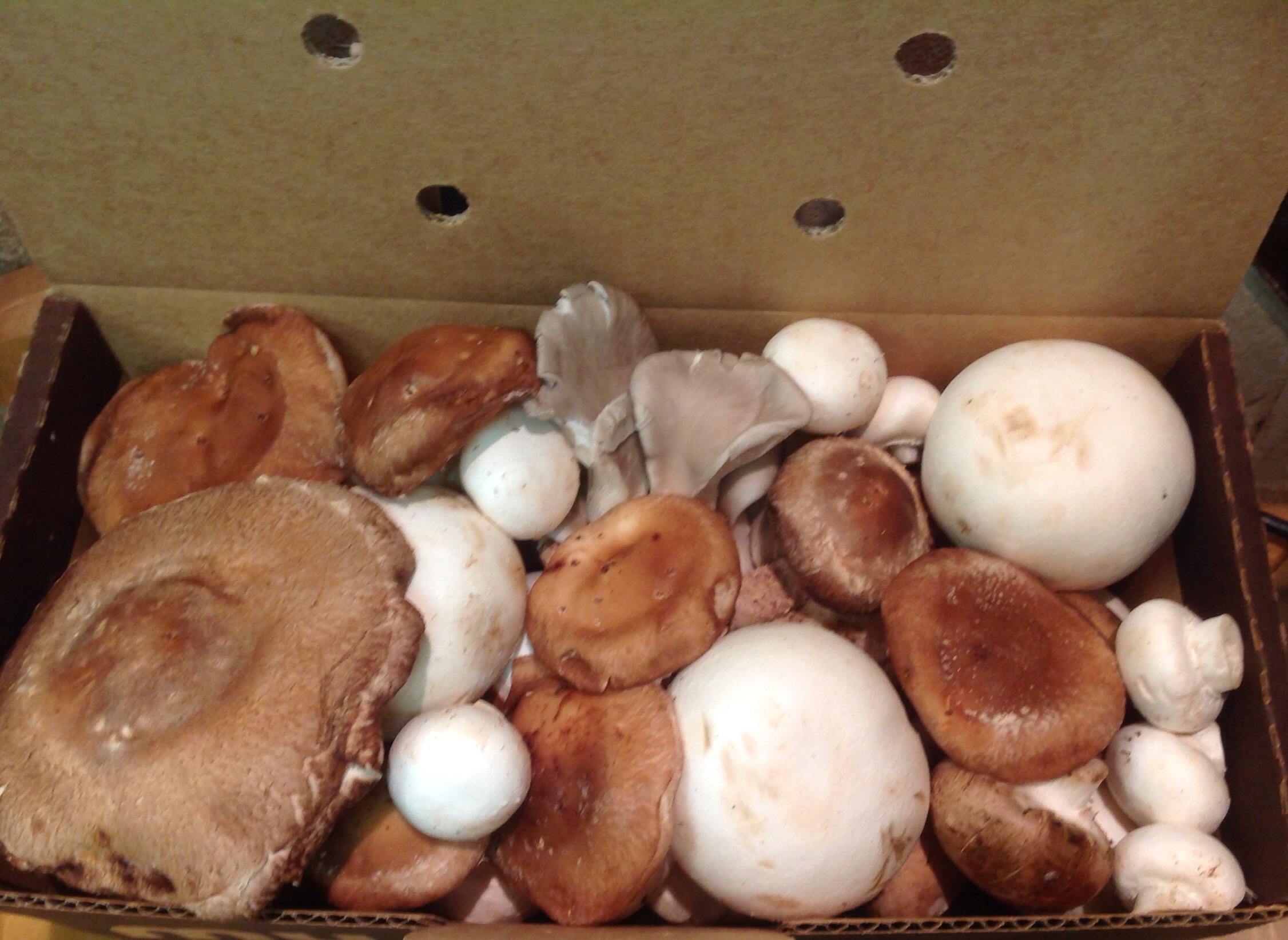 Mixed Box of Fresh Mushrooms The Mushroom Cap