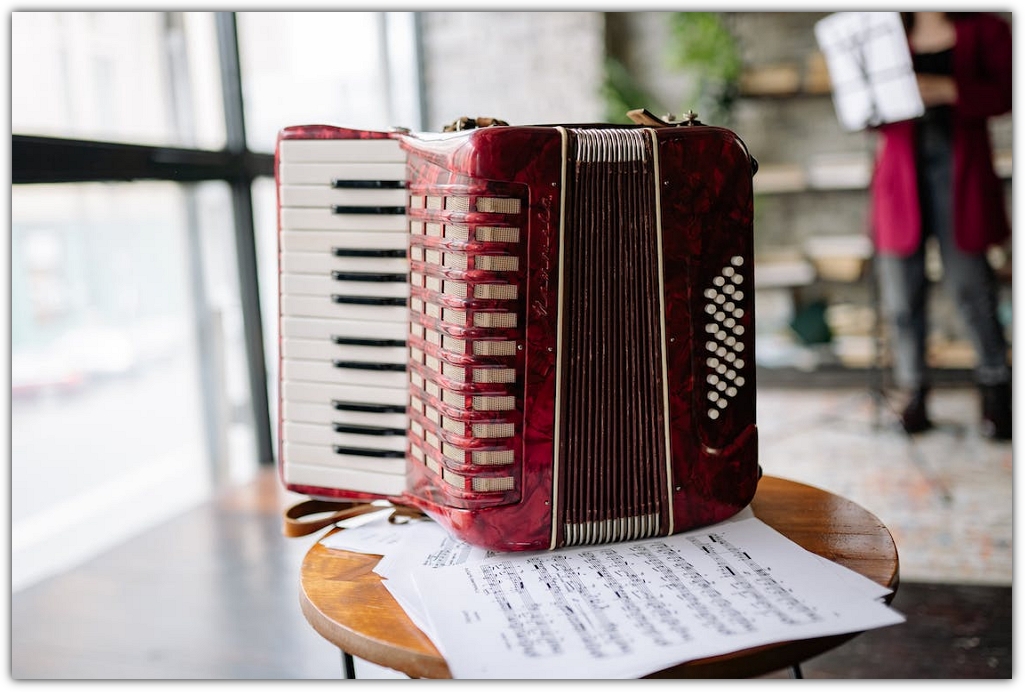 Which is the Most Popular Instrument in the World? 5 Examples