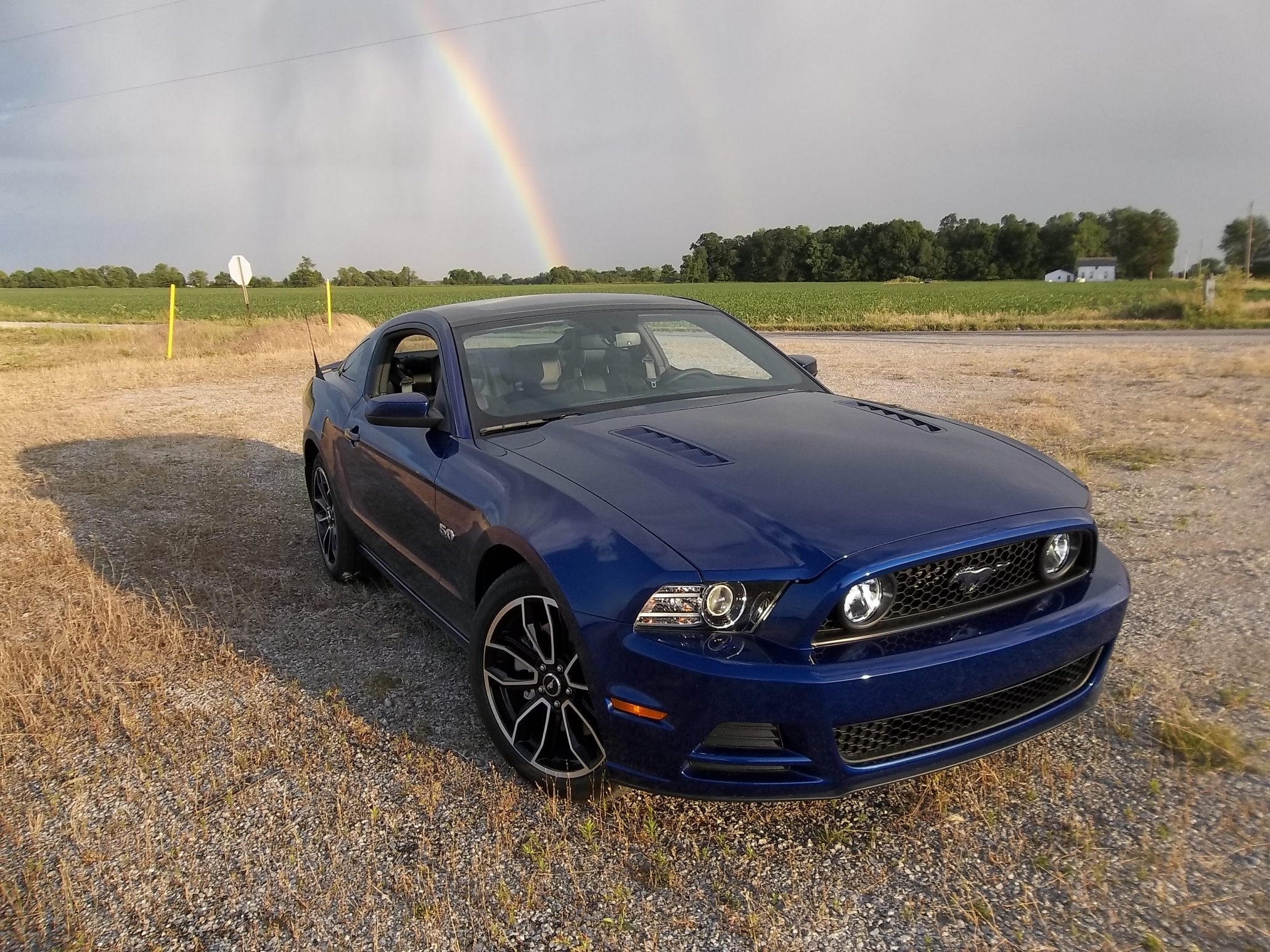 Deep Impact Blue pics Page 7 The Mustang Source Ford Mustang Forums