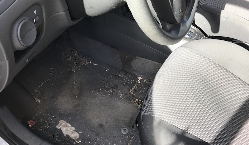 Best Way To Vacuum A Car Is With A Shop Vacuum! & One Clever Trick!