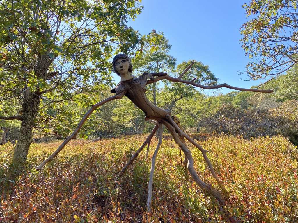 Experience the Magic of Island Folk Pottery Trail Chilmark, Martha’s