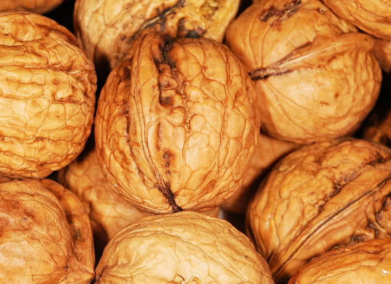 8 Foods You Should Never Feed Your Dog The Mysterious World