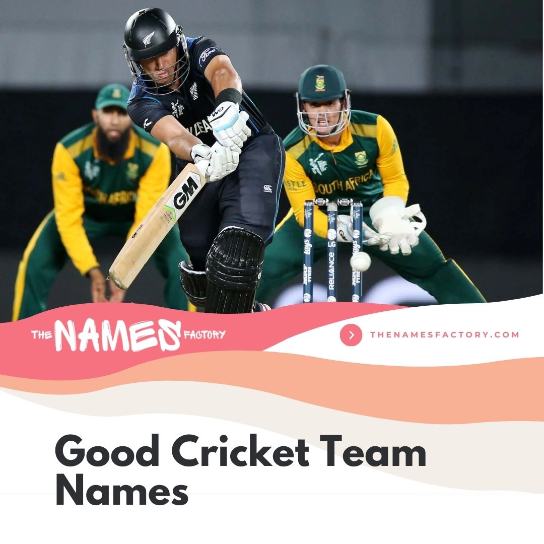 240+ Top Cricket Team Names for Your Squad