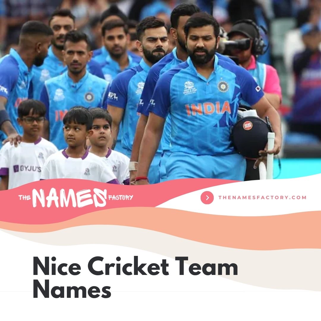240+ Top Cricket Team Names for Your Squad