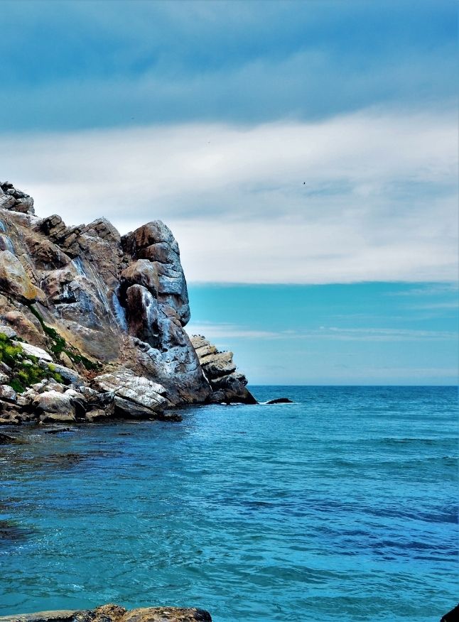 Real Estate Agent Estero, FL Miranda and Procopio Group at Royal Shell