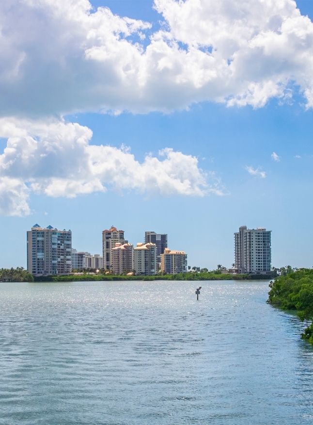 Real Estate Agent North Naples, FL Royal Shell