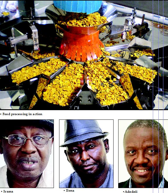 Economic recovery Food processing to the rescue The Nation Nigeria