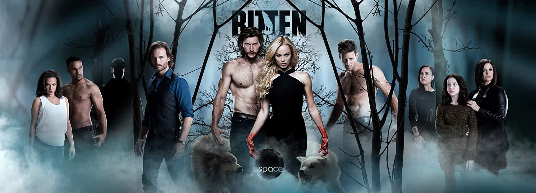 Bitten series is going to be taken down from Netflix! Know why. TheNationRoar