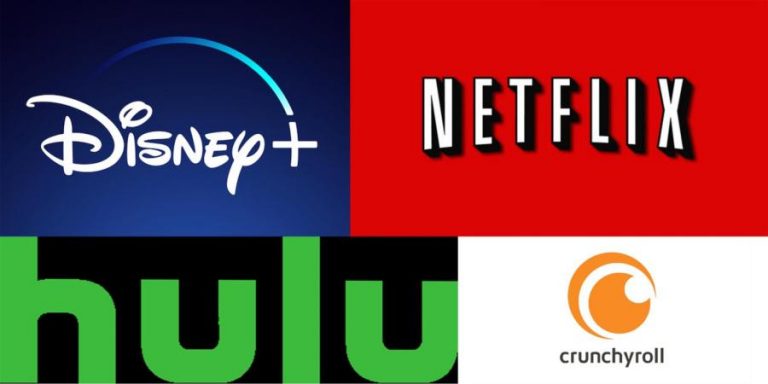 Anime Streaming Restrictions Delhi HC Makes A Major Move TheNationRoar