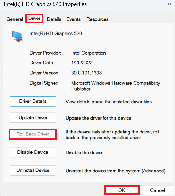 Laptop Screen Turned Green How To Fix? The Nature Hero