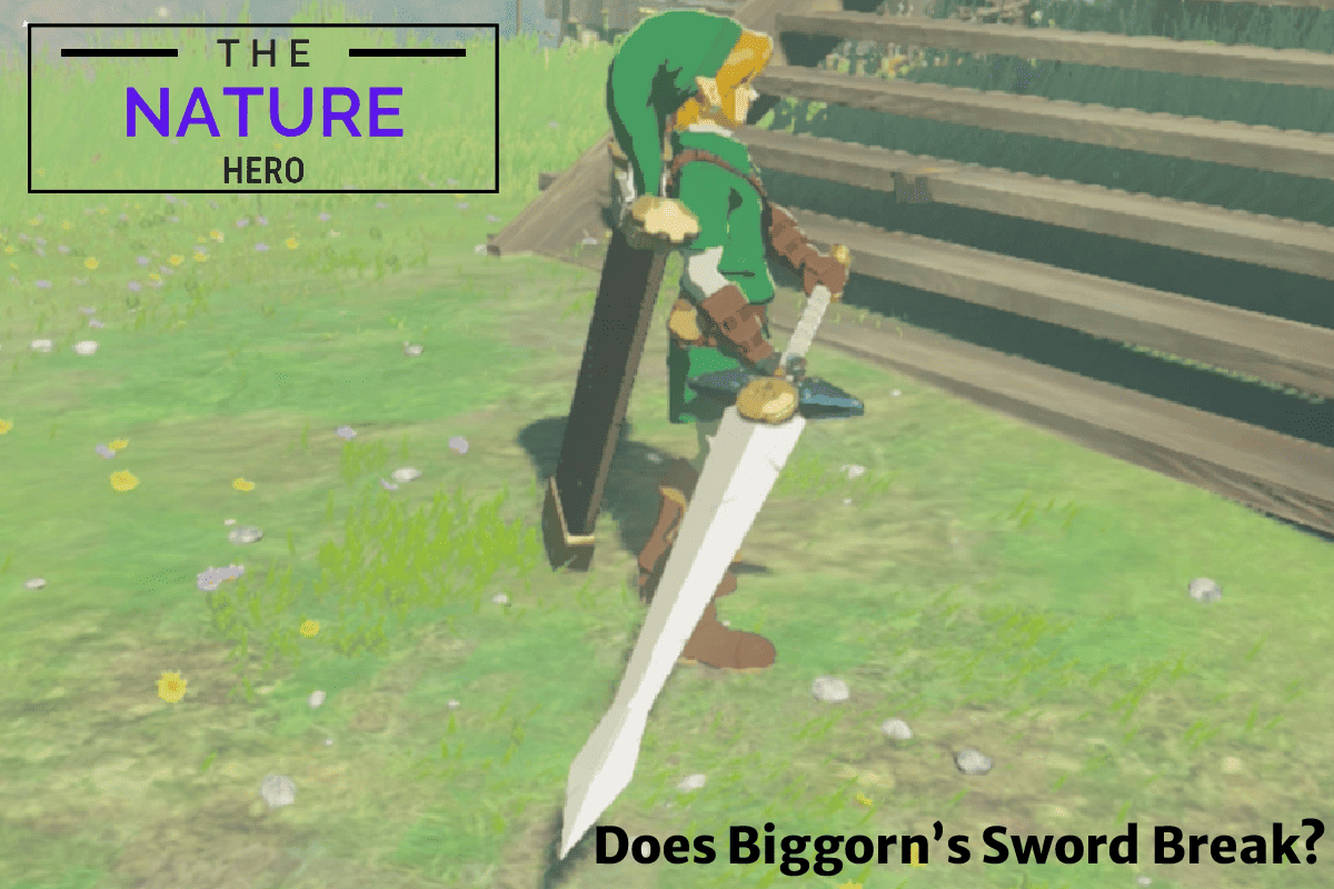 Does Biggoron Sword TotK Break? Repair Guide The Nature Hero