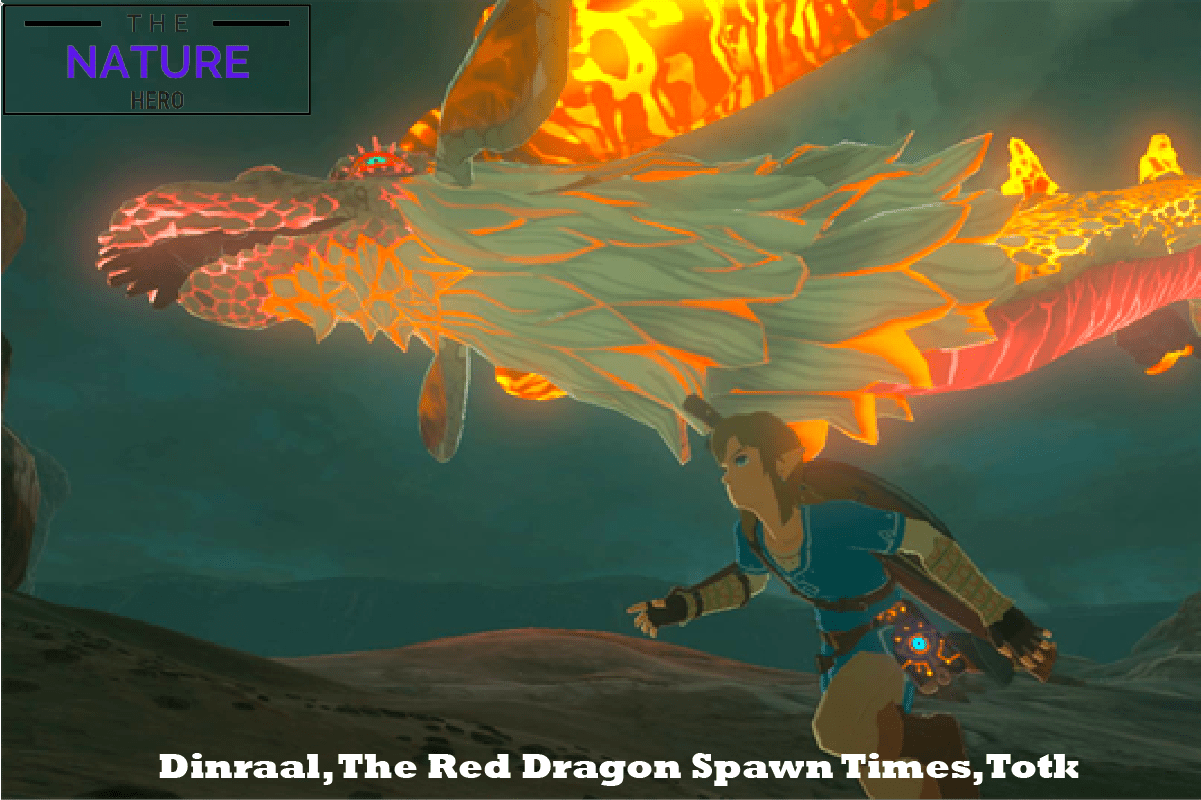 What Time Does Dinraal Spawn TotK? The Nature Hero