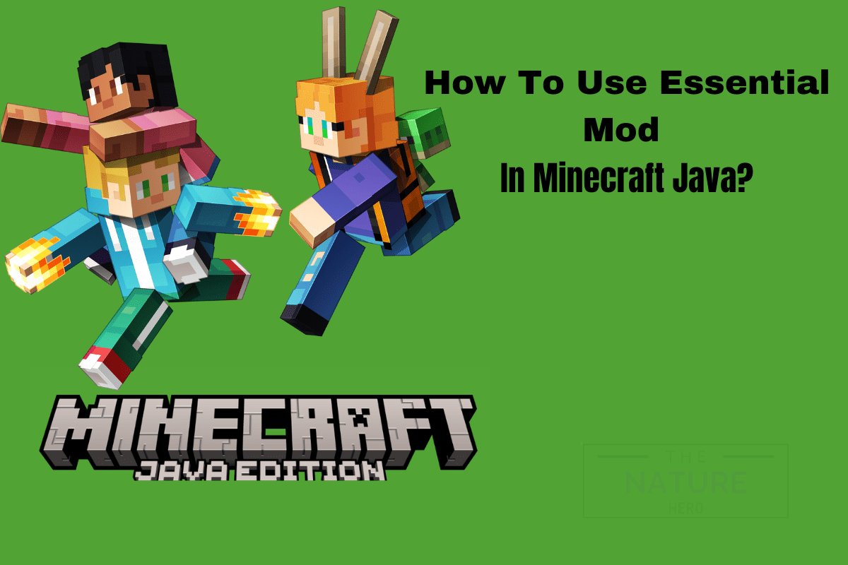 How To Use Essential Mod Minecraft Java? The Nature Hero
