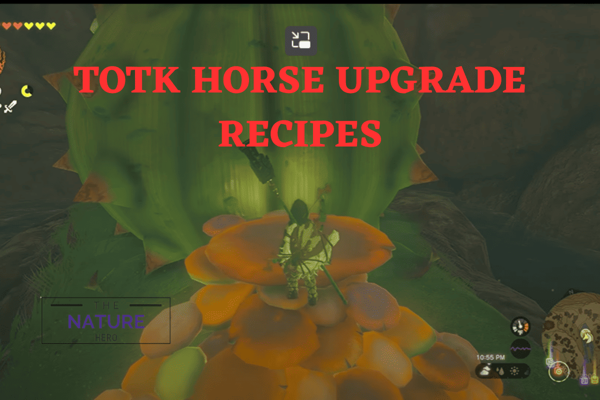 What Are Totk Horse Upgrade Recipes? The Nature Hero