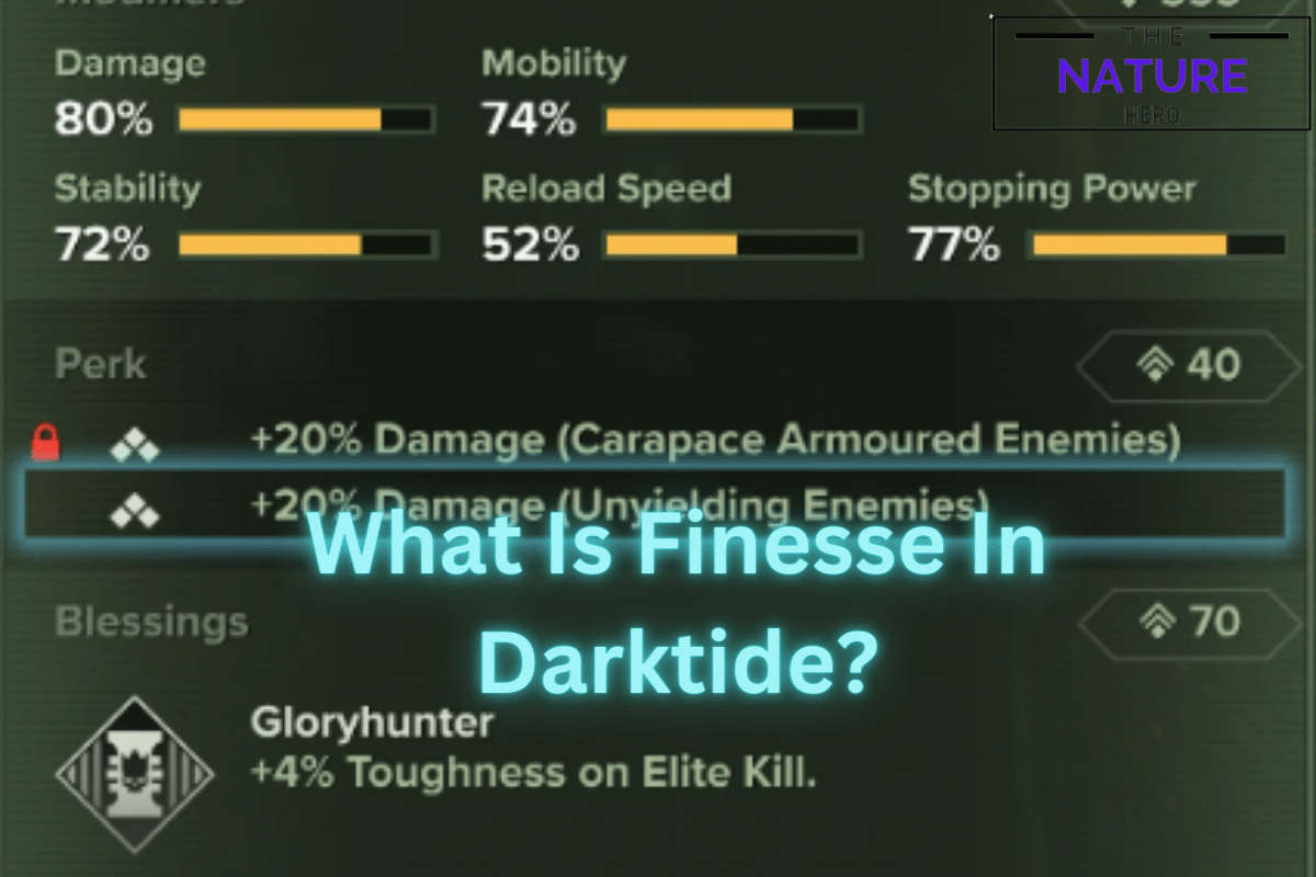 Darktide Finesse Damage Stat Explained The Nature Hero