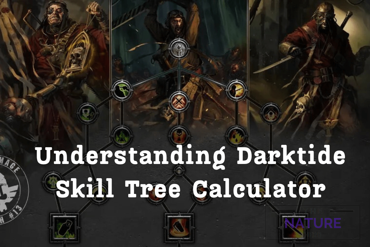 Everything About Darktide Skill Tree Calculator The Nature Hero